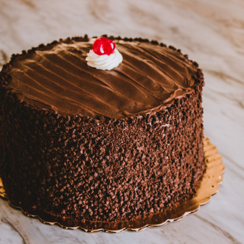 Chocolate Sour Cream Cake